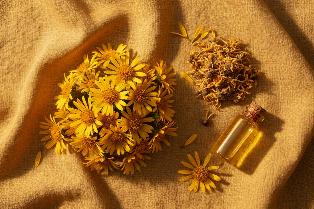 Ingredient Spotlight: Arnica Oil — Nature's Relief for Soreness, Swelling, and Bruising